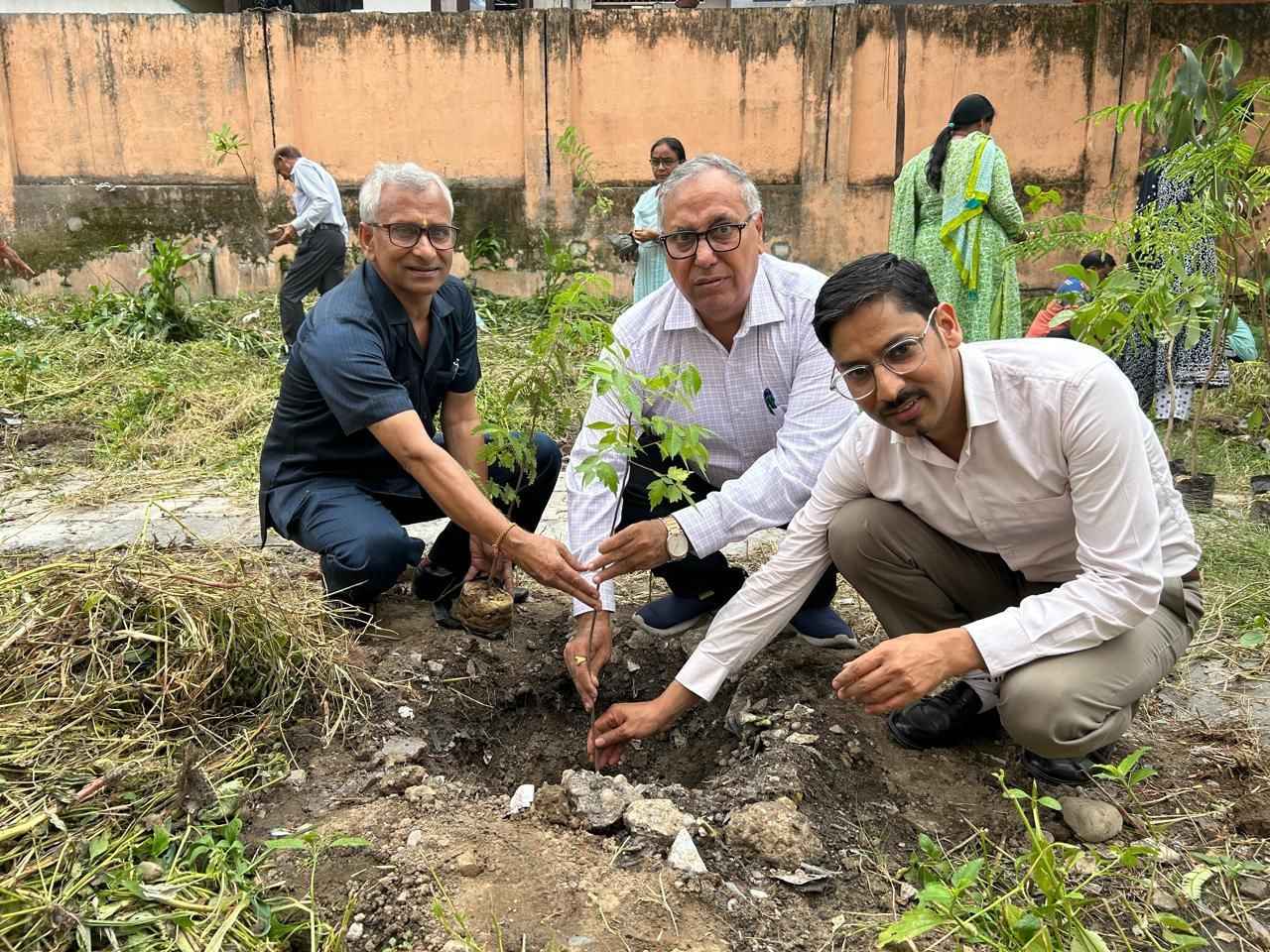 हरेला पखवाड़े के अन्तर्गत महाविद्यालय में किया गया पौधारोपण
